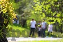 足球彩比分分析-足球彩比分分析，揭秘背后的数据密码与投注智慧